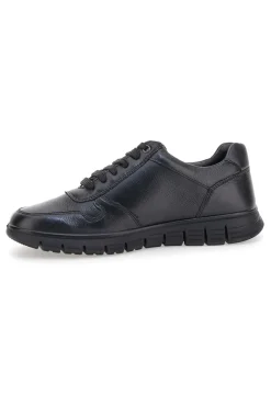 Sneakers nere con lacci e zip laterale Claremorris 24117840