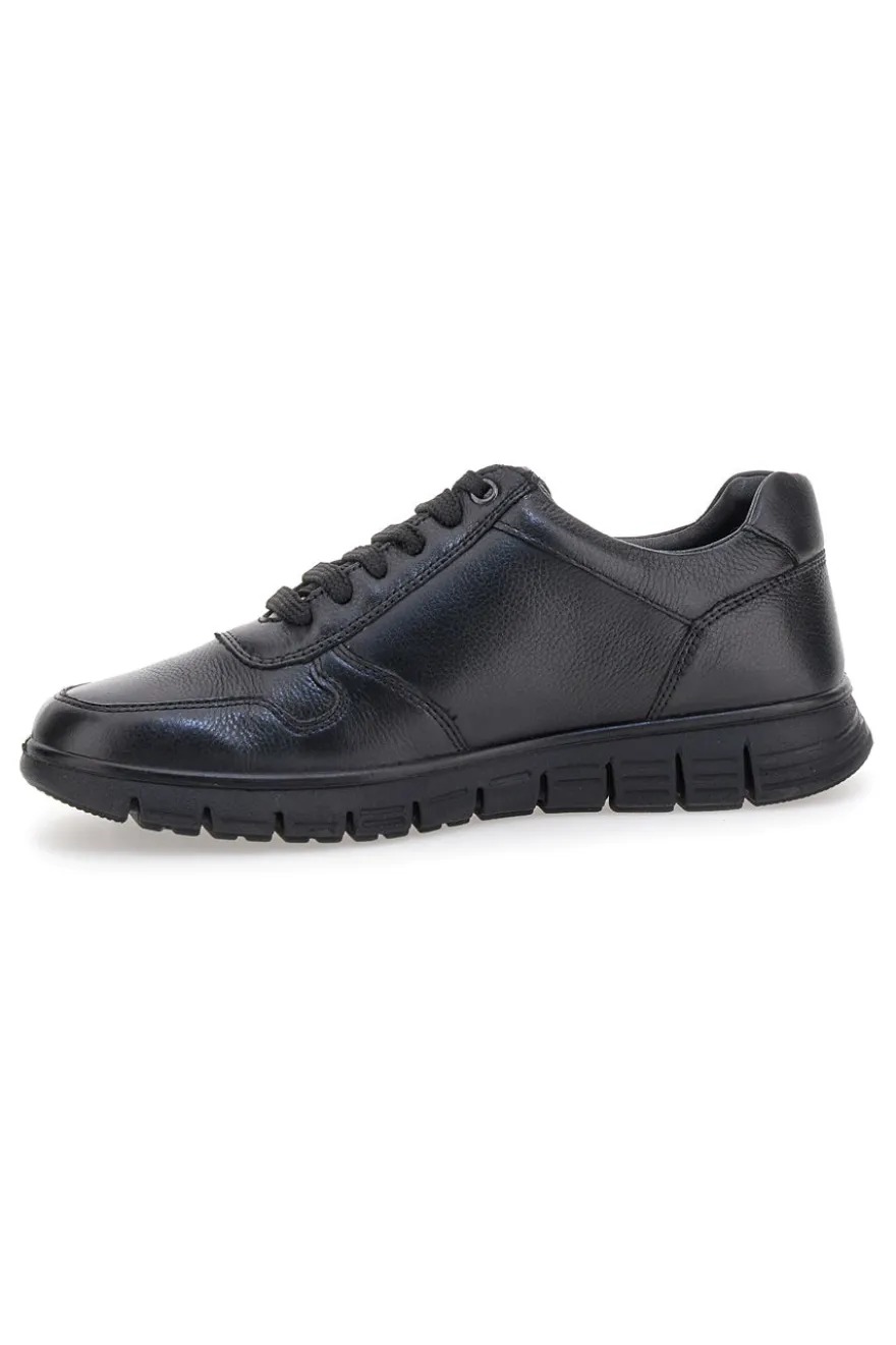 Sneakers nere con lacci e zip laterale Claremorris 24117840