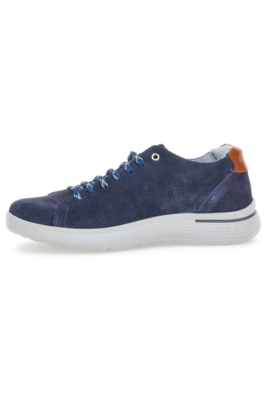 Sneakers Pittarello Eco 9010 Oceano