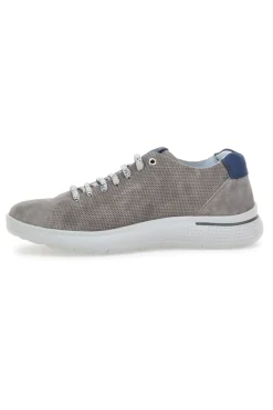 Sneakers Pittarello Eco 9010 Grigio