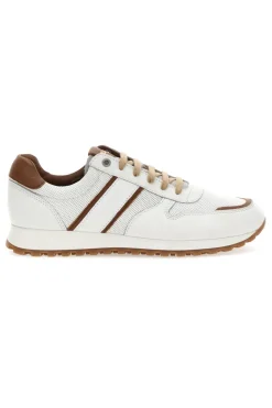 Sneakers Pittarello Plus 12010 Vera Pelle