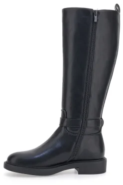 Stivali Neri Con Cerniera Laterale Pittarello Capsule 24175011