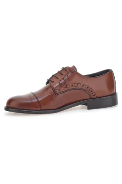 Stringate Eleganti Pittarello 7715 Marroni