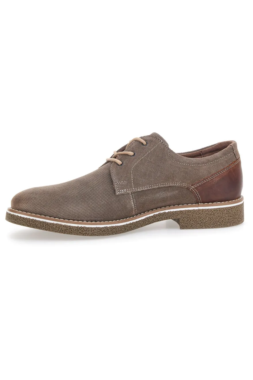 Scarpe Stringate Taupe Pittarello Eco 51005