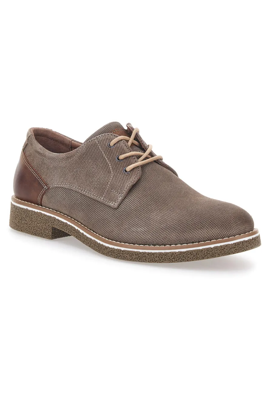 Scarpe Stringate Taupe Pittarello Eco 51005